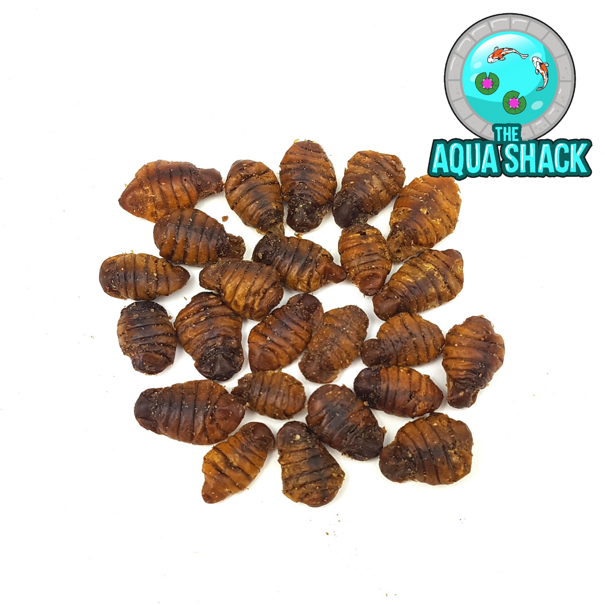 Natural Dried Silkworm Pupae Koi Treats The Aqua Shack