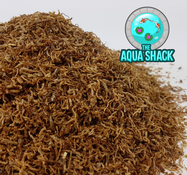 Freeze Dried Bloodworm | The Aqua Shack