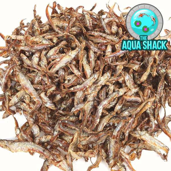Large 8-10cm Dried Whole Fish for Cichlids, Arowanas, Oscars, etc.  | The Aqua Shack