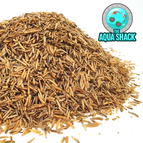 Natural Dried Calci Worms Black Soldier Fly Larvae | Reptile Food | The Aqua Shack