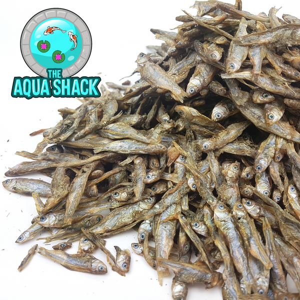 Natural Dried Whole Fish Whitebait Sprats | The Aqua Shack