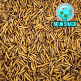 Premium Dried Large Chubby Mealworms Reptile Food | The Aqua Shack