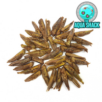 Natural Dried Grass Hoppers - Japanese Koi Treats | The Aqua Shack