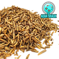 Large Dried Chubby Mealworms | Carnivore Fish Food Oscar Flowerhorn Arowana Gar | The Aqua Shack